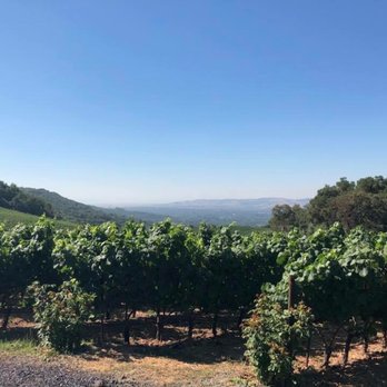 B Wise Vineyards - Wine Tasting Room Near Me - Kenwood, California B Wise Vineyards - Wine Tasting Room Near Me - Kenwood, California