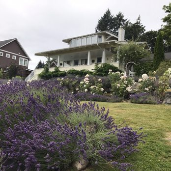 Lavender Hill Farm - The house on top of the hill. - Vacation Rentals Near Me - Vashon, Washington Lavender Hill Farm - The house on top of the hill. - Vacation Rentals Near Me - Vashon, Washington