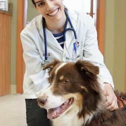 Clinique Vétérinaire Poirier O'Brien - With a soothing presence and gentle touch, Dr. Boudrias tenderly reassures each furry friend she meets.