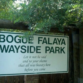 Bogue Falaya Park - Parks Near Me - Covington, Louisiana
