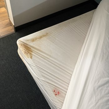 Executive Inn - Mold - Hotels Near Me - Cuero, Texas Executive Inn - Mold - Hotels Near Me - Cuero, Texas