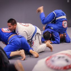 CJJF Central