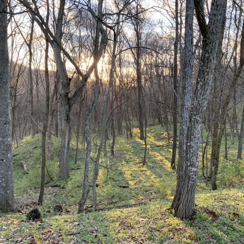 Radnor Lake State Park - Parks Near Me - Nashville, Tennessee Radnor Lake State Park - Parks Near Me - Nashville, Tennessee