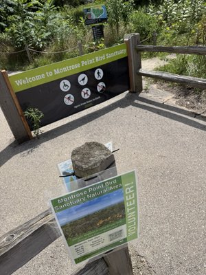 Montrose Point Bird Sanctuary by null