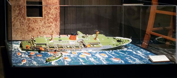 Wellington Museum by null