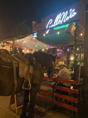 Gallo Nero Italian Bistro by null