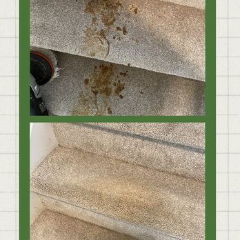 Essence Carpet Cleaning - Eyesores and deep stains gone! We provide spot cleaning. - Carpet Cleaning Near Me Essence Carpet Cleaning - Eyesores and deep stains gone! We provide spot cleaning. - Carpet Cleaning Near Me