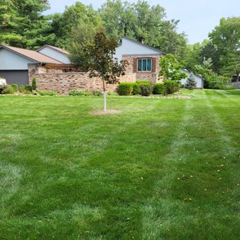 Exclusive Cuts by Lionel - a lawn in front of a house - Lawn Services Near Me Exclusive Cuts by Lionel - a lawn in front of a house - Lawn Services Near Me