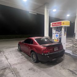 Shell