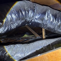 Attic before picture