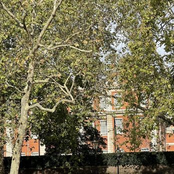 St James Palace - Landmarks & Historical Buildings Near Me - London, XGL
