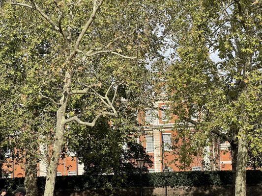 St. James's Palace by null