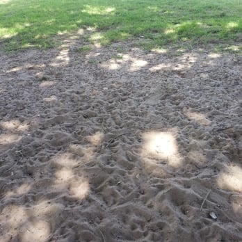 Mango Dog Park - A bit sandy - Dog Parks Near Me - Seffner, Florida Mango Dog Park - A bit sandy - Dog Parks Near Me - Seffner, Florida