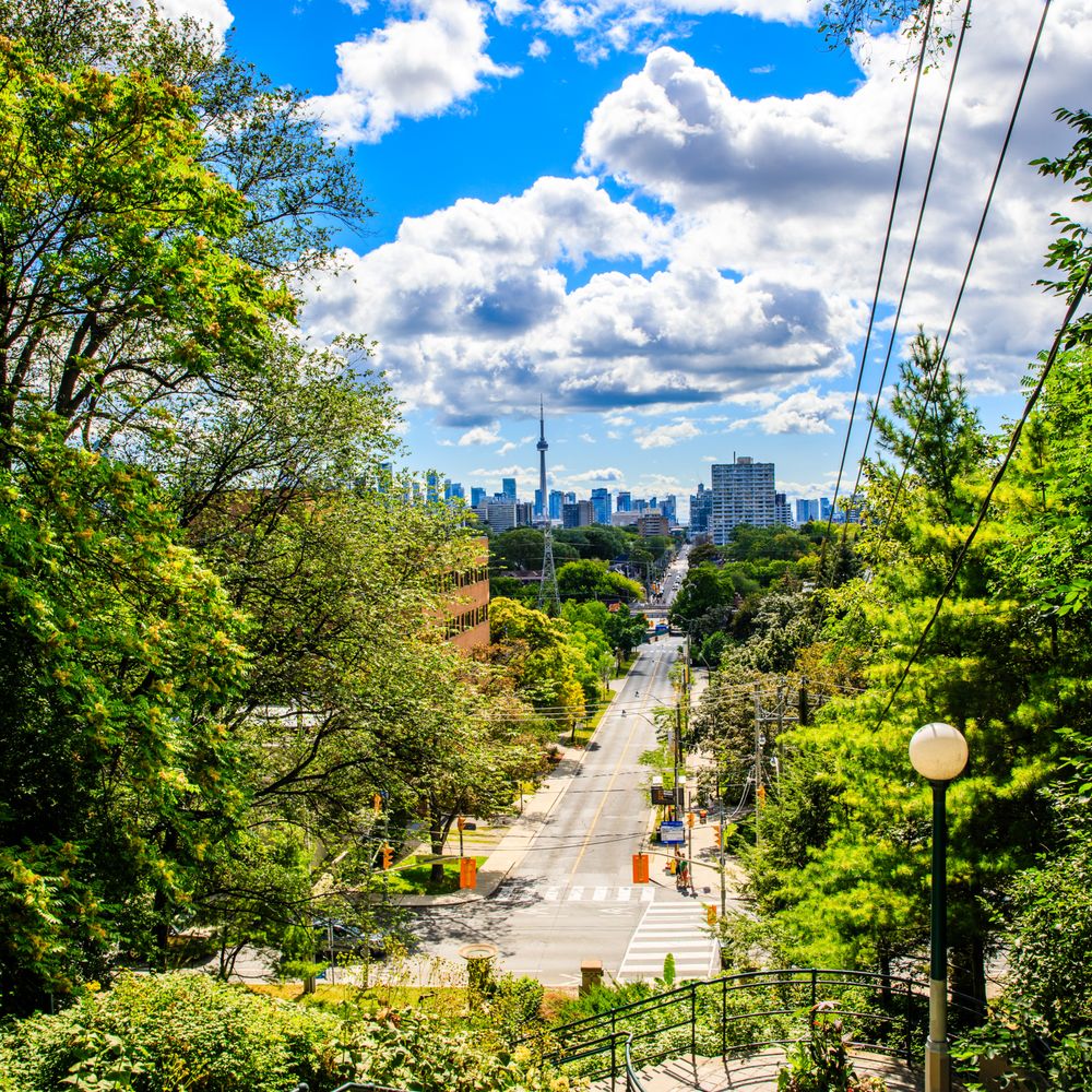 North York Hour