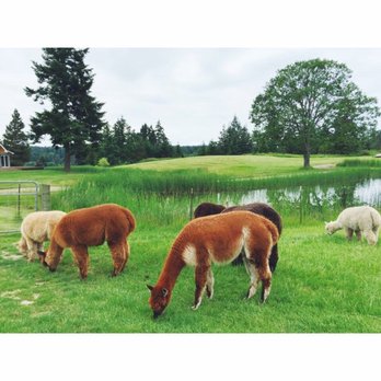 The Farm at Krystal Acres - Attraction Farms Near Me - Friday Harbor, Washington The Farm at Krystal Acres - Attraction Farms Near Me - Friday Harbor, Washington
