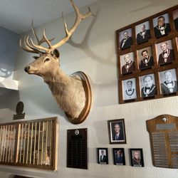 Fremont Elks Lodge - Elk grove statue