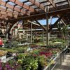 Burger Farm & Garden Center gift card