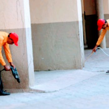 Bug King International - Pest Control Near Me - Buena Park, California Bug King International - Pest Control Near Me - Buena Park, California