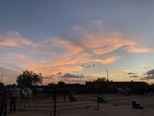 MacDonald's Ranch by null