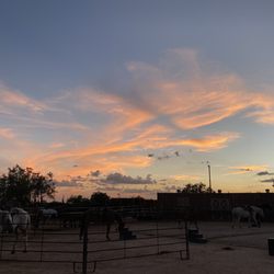 MacDonald's Ranch