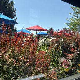 my view my view