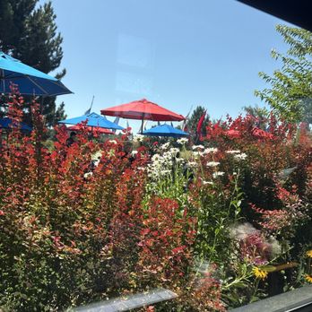 Anthony's At The Old Mill District - my view - Seafood Near Me - Bend, Oregon