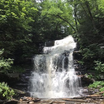 Ricketts Glen State Park - Parks Near Me - Benton, Pennsylvania