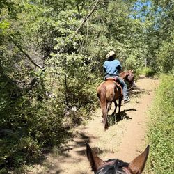 The Stables - Sacred Mountain