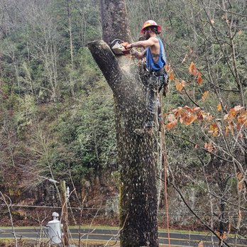 New Horizons Tree Care - Tree Services Near Me - Whittier, North Carolina New Horizons Tree Care - Tree Services Near Me - Whittier, North Carolina