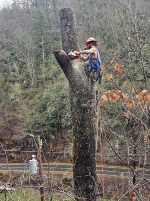 About us - At New Horizons Tree Care, our mission is to provide exceptional tree care services with a strong commitment to customer satisfaction. We believe in nurturing both trees and relationships, ensuring that every client receives personalized attention and expert care. Our dedicated team is passionate about enhancing the health and beauty of your landscape while prioritizing safety and environmental stewardship. Together, we strive to create a greener, more vibrant community for generations to come. About us - At New Horizons Tree Care, our mission is to provide exceptional tree care services with a strong commitment to customer satisfaction. We believe in nurturing both trees and relationships, ensuring that every client receives personalized attention and expert care. Our dedicated team is passionate about enhancing the health and beauty of your landscape while prioritizing safety and environmental stewardship. Together, we strive to create a greener, more vibrant community for generations to come.