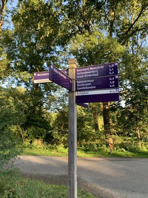 Het Amsterdamse Bos by null