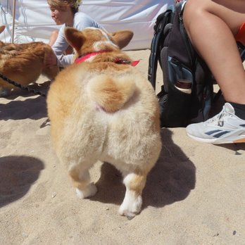 Huntington Beach - Best Momo (butt) contest. - Beaches Near Me - Huntington Beach, California