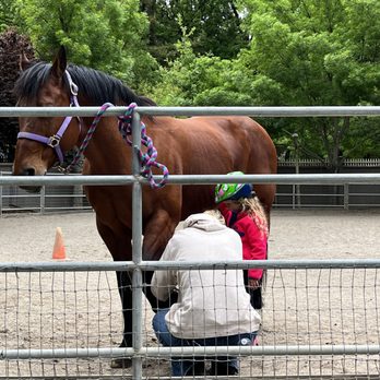 All Seasons Horse Riding - now - Horseback Riding Near Me - Pleasanton, California All Seasons Horse Riding - now - Horseback Riding Near Me - Pleasanton, California