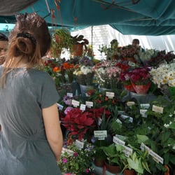 Feria de Caupolicán - Puesto de flores