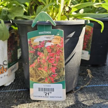 Moana Nursery - Sparks - Nurseries & Gardening Near Me - Sparks, Nevada Moana Nursery - Sparks - Nurseries & Gardening Near Me - Sparks, Nevada