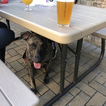 Variant Brewing - Scooby's first brewery! - Breweries Near Me - Roswell, Georgia