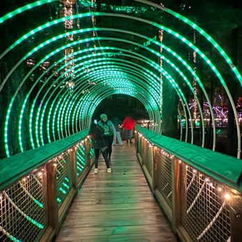 Capilano Suspension Bridge Park - Parks Near Me - North Vancouver, British Columbia