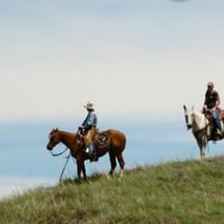 Rowse's 1+1 Ranch