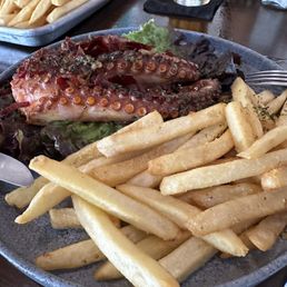 Octopus Octopus