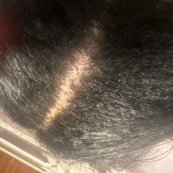 Lusvianca Hair Salon