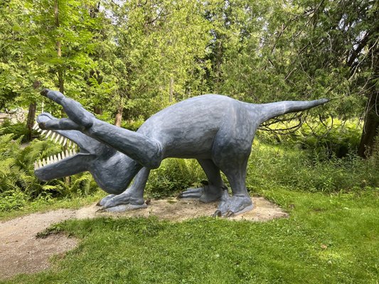 Dinosaur Gardens by null
