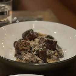 Farmers Grain Kitchen + Cellar - Beef ribs stroganoff with egg noodles and mushrooms that were so good you wanted to lick the plate.