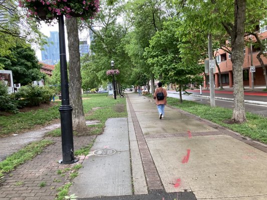 David Crombie Park by null