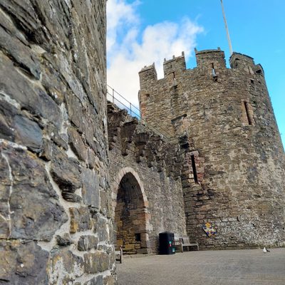 Conwy Castle by null