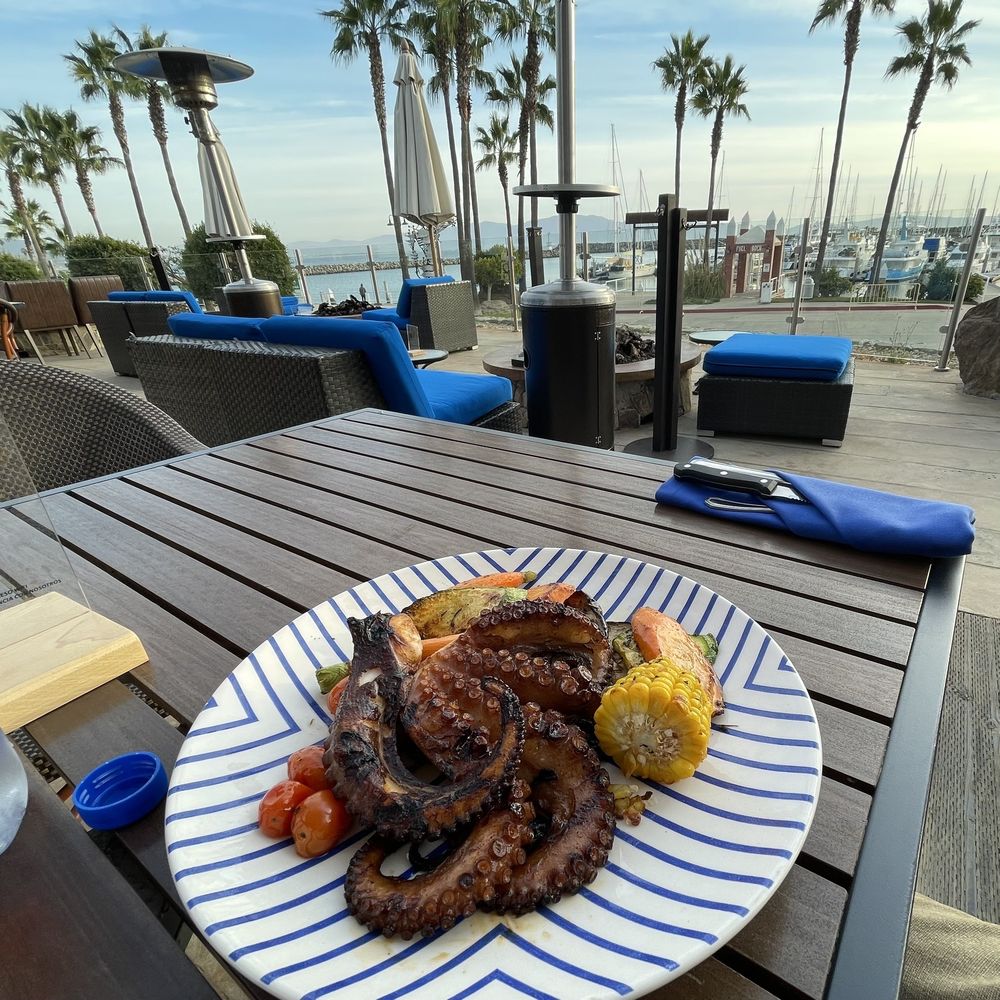 Marina Grill - Bars Near Me - Ensenada, BCN