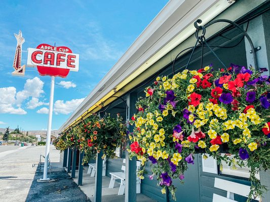 Apple Cup Cafe by null