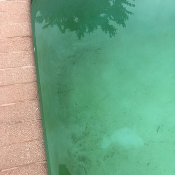 Florida Vacation Homes - More algae... - Vacation Rentals Near Me - Davenport, Florida