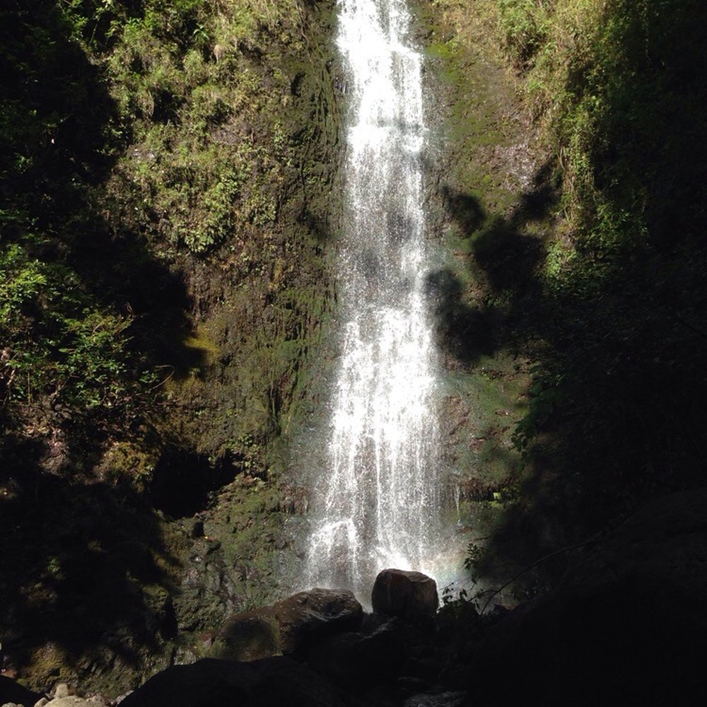 Lulumahu Falls - Hiking Near Me - Honolulu, Hawaii Lulumahu Falls - Hiking Near Me - Honolulu, Hawaii