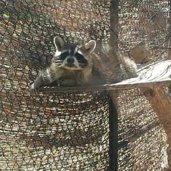 Animal Ark - Zoos Near Me - Reno, Nevada Animal Ark - Zoos Near Me - Reno, Nevada