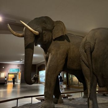 Richard Gilder Center for Science - Museums Near Me - New York, New York Richard Gilder Center for Science - Museums Near Me - New York, New York